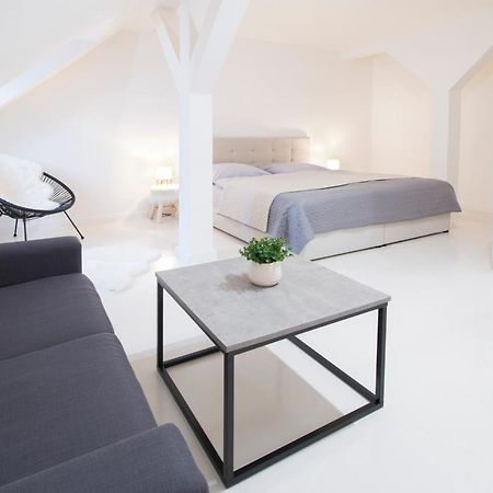 U Zlate Hvezdy Apartman Jungmann Apartment Litoměřice Екстериор снимка