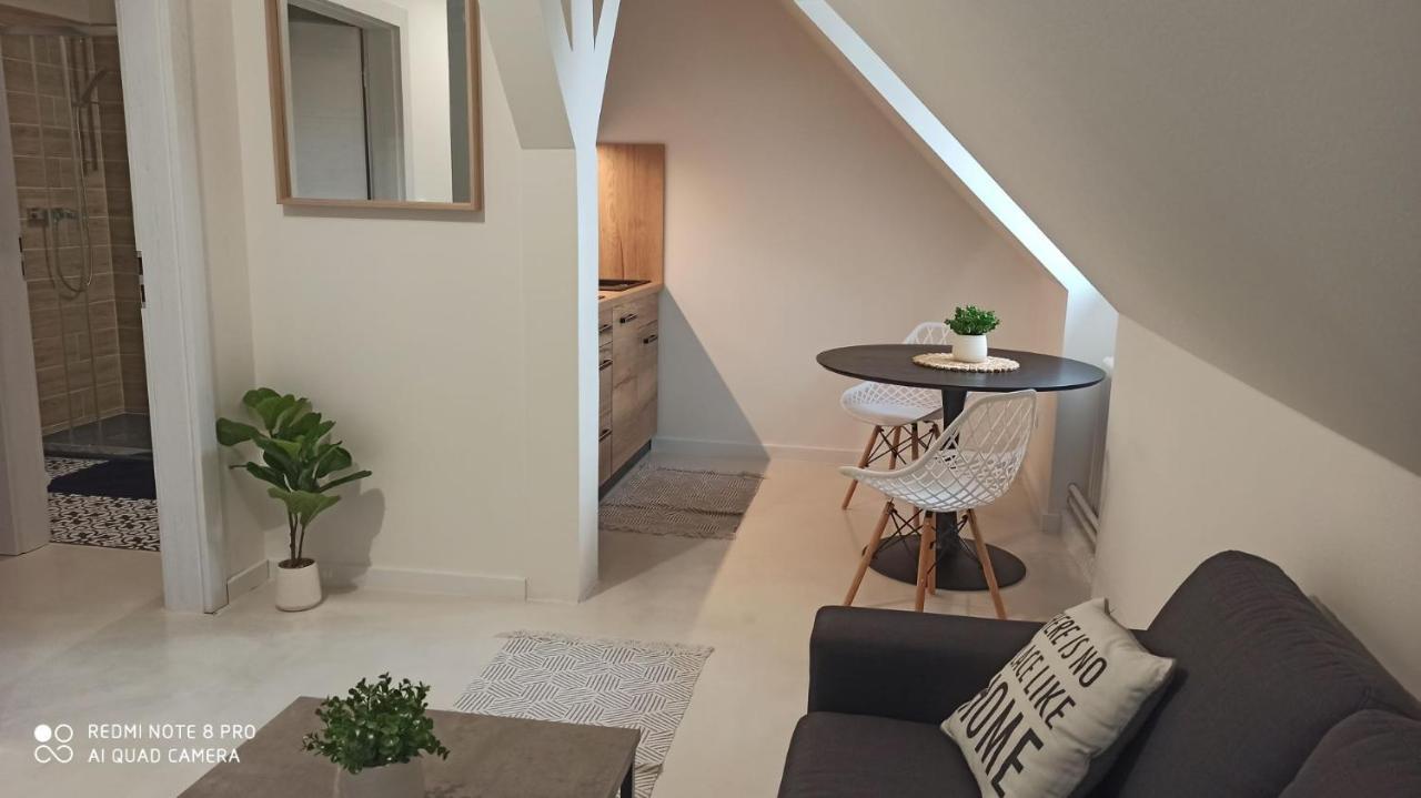 U Zlate Hvezdy Apartman Jungmann Apartment Litoměřice Екстериор снимка