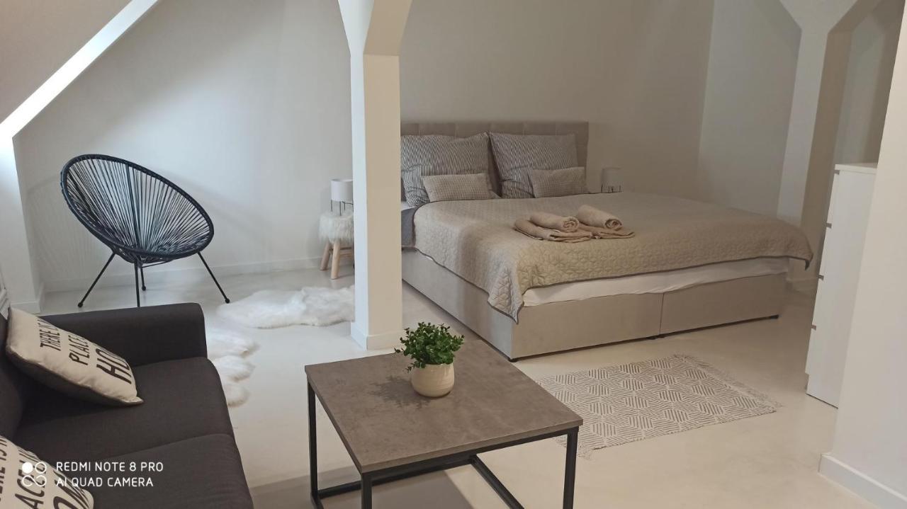 U Zlate Hvezdy Apartman Jungmann Apartment Litoměřice Екстериор снимка